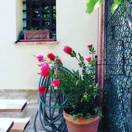 Ex Falegnameria Con Giardino A 100 Mt Sferisterio