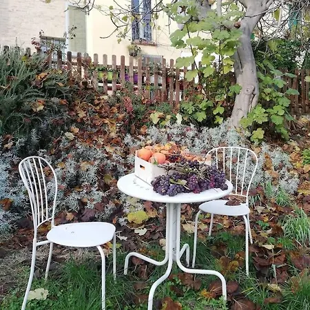 Ex Falegnameria Con Giardino A 100 Mt Sferisterio Daire Macerata