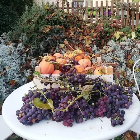 Ex Falegnameria Con Giardino A 100 Mt Sferisterio Daire Macerata