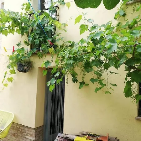 Ex Falegnameria Con Giardino A 100 Mt Sferisterio Daire *
