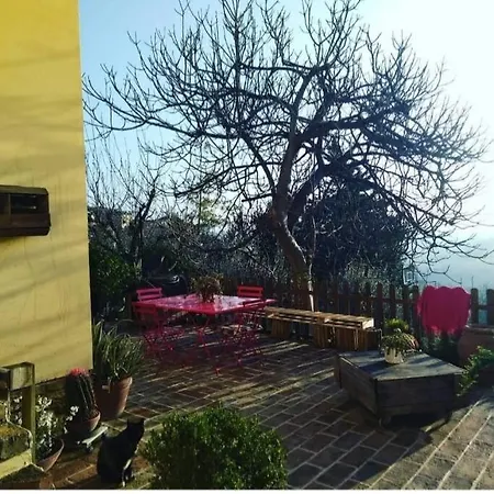 Ex Falegnameria Con Giardino A 100 Mt Sferisterio Daire Macerata